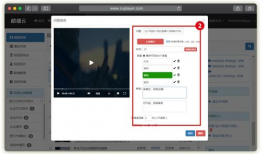 视频问答,揭秘热门话题背后的真相